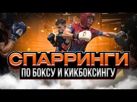 Спарринги по боксу
