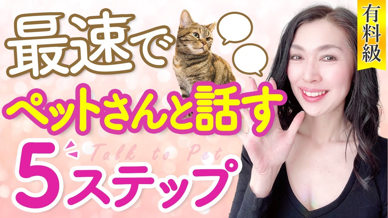 ＃アニマルコミュニケーション講座 【有料級】最速で😳❣️ペットさんと話す『５ステップ🖐️』もっと『呼吸をするくらい簡単に』ペットさんとお話ししましょう😌✨