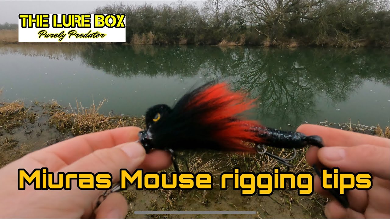 Safely rigging your Miuras Mouse 🎣🎣🐭🐭#shorts #lurefishing