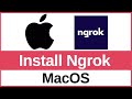How to Install and Use Ngrok on Mac (2025) | Expose Localhost to Public Using Ngrok on macOS
