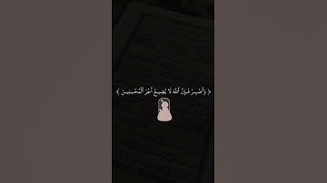 سورة هود #quran #قرآن #ماهر_المعيقلي