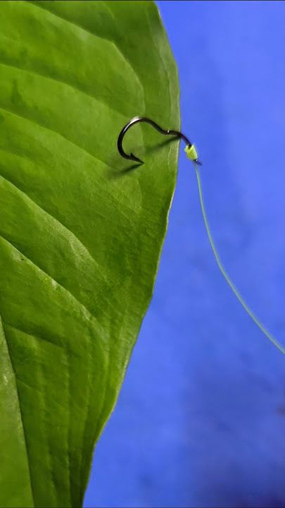 Best Fishing Hooks For Fishing #shorts #fishing #mancing #tutorial