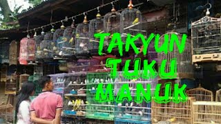 TAKYUN - Tuku Manuk