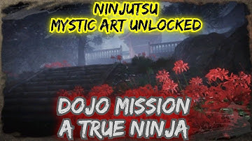 A True Ninja | How to get Ninjutsu Master Trophy | Nioh
