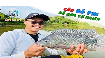 CÂU RÔ PHI | HỒ BÁN TỰ NHIÊN | cá đẹp chạy lại khỏe .