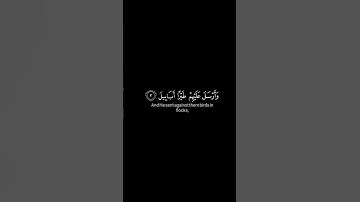 سورة الفيل عبد الله خلف شاشة سوداء