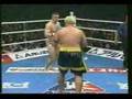 Cro Cop vs Mark Hunt