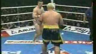 Cro Cop vs Mark Hunt