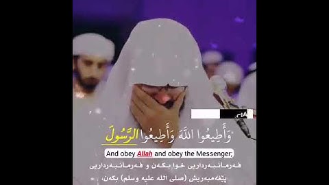 Раад Мухаммад аль Курди сура 64 ат тагабун