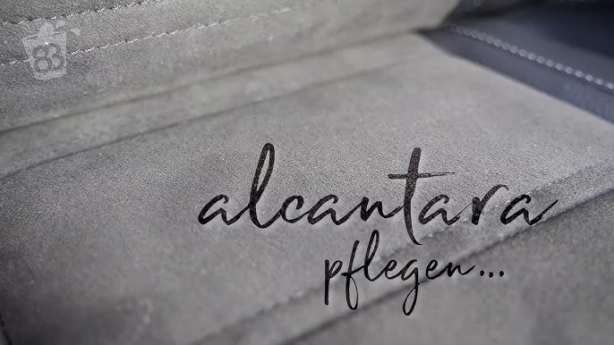 Alcantara- und Ledersitze REINIGEN und VERSIEGELN / Leder