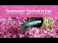 Rosewater festival in Iran; an unforgettable experience