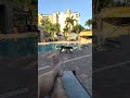 Man&#39;s Close Encounter as Bobcat Stalks by Pool