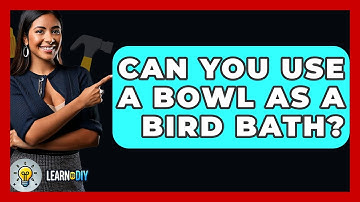Can You Use A Bowl As A Bird Bath? - LearnToDIY360.com