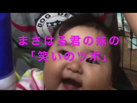 まさはる君の妹の「笑いのツボ」