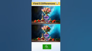 Find 5 Differences #481