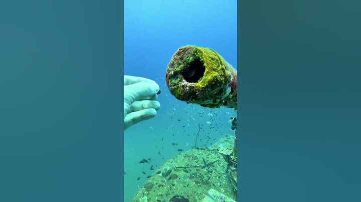 This fish throws up food! 😱#shorts