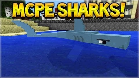 SHARKS IN MCPE!! Minecraft Pocket Edition: Amazing New Sharks & Megalodon Addon (Pocket Edition)