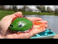The CRAZY Lure Challenge That Caught A POND MONSTER!!!