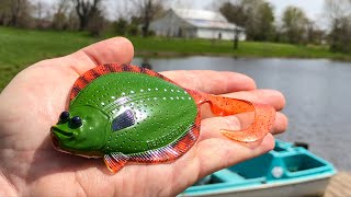 The CRAZY Lure Challenge That Caught A POND MONSTER!!!