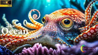 The Colors of the Ocean 4K Octopus, Underwater Wonders + Relaxing Music  4K Relaxation Video