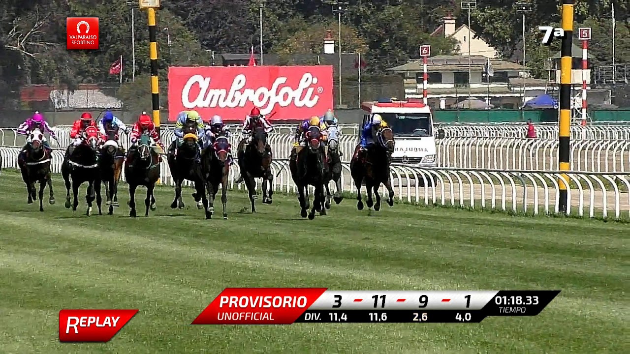 Carrera 7 04-03-2020 Premio:  EDGY NIGHT