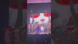 Алиса в стране чудес. Новогоднее представление.SUNRISE Dance Studio.                          02