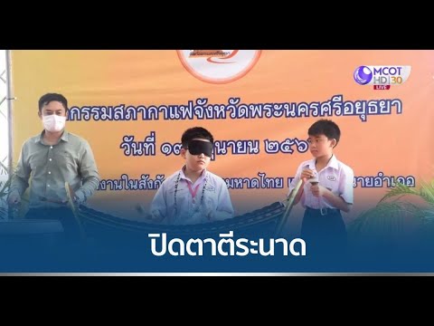 สกิลขั้นเทพ ป.5 ปิดตาตีระนาดเอก