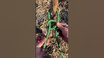 Learn knots in minutes  #diy #tips #knotguide #knotskill