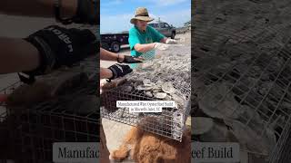 Manufactured Wire Oyster Reef Build