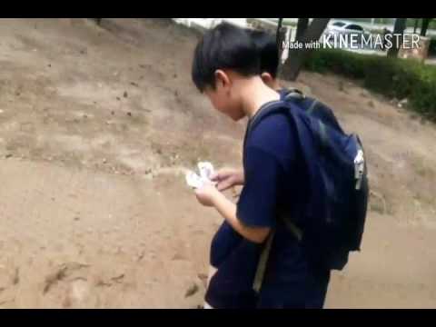서울목운초등학교 4학년 2반 학교폭력 UCC