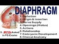 Diaphragm for Regular MBBS students and PG Aspirants