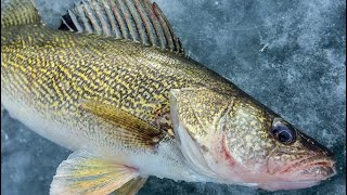Ice Fishing Vet's Park, Bay City. MI.