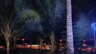 HHBR, Havelock Holiday Beach resort, Havelock ( Port Blair)