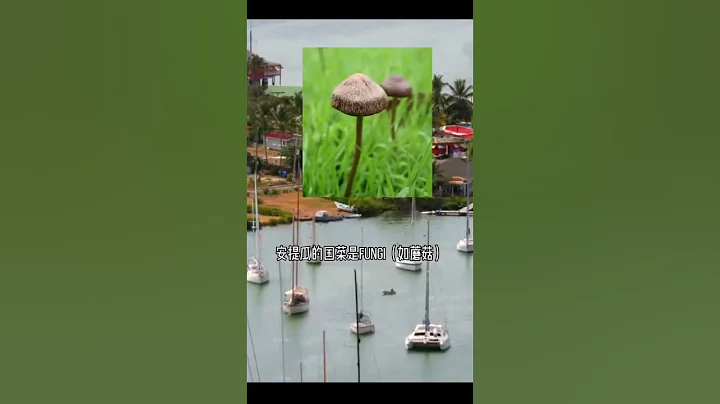 🇦🇬關於安提瓜和巴布達，這些你須知道的事實 #安提瓜和巴布達 #島國護照 #安提瓜護照 #antigua - 天天要聞
