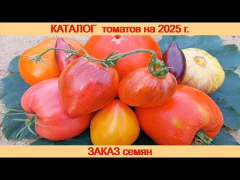 КАТАЛОГ томатов на