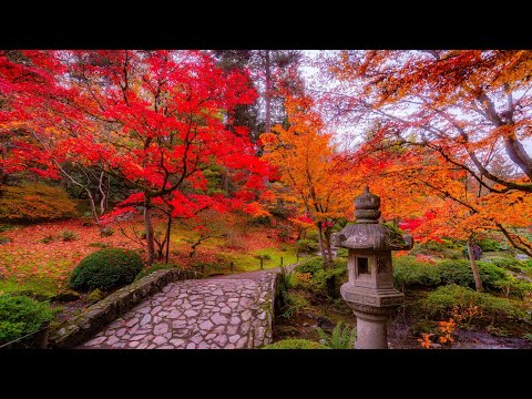 Japanese