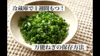 【冷蔵で一週間！】切った万能ねぎ保存方法（冷蔵）