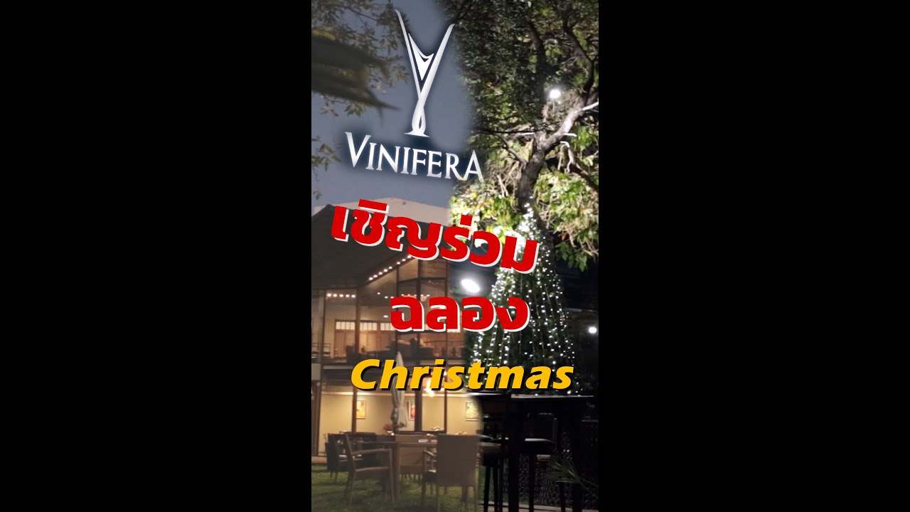 ชวนมาฉลองคริสมาสด้วยกันที่ Vinifera ร้านอาหารฝรั่งเศสโชคชัย4 ซอย54 | ถูกต้องมากที่สุดร้าน อาหาร ค ริ สมาสข้อมูลที่เกี่ยวข้อง