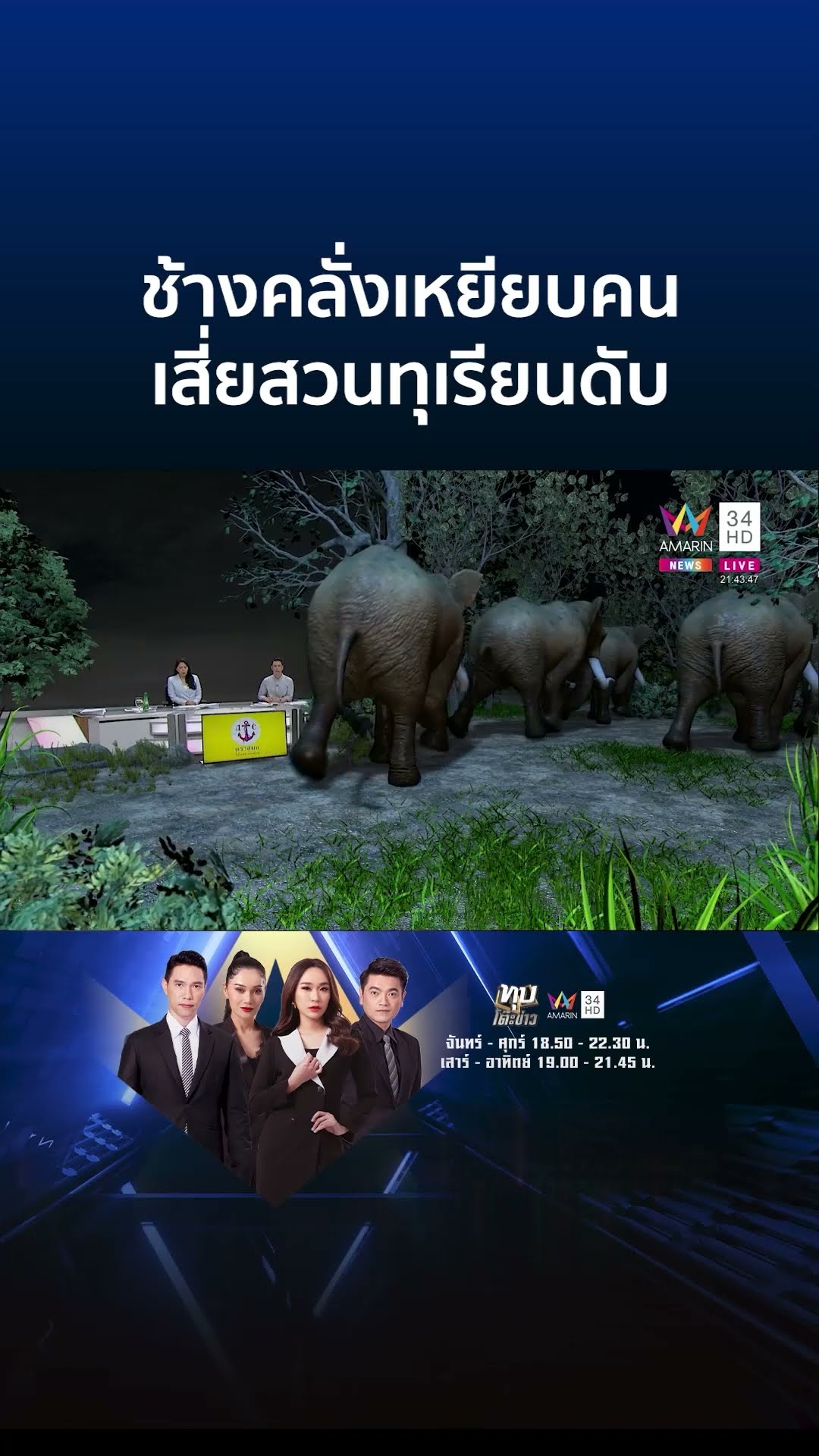 ช้างคลั่งเหยียบคนเสี่ยสวนทุเรียนดับ | ทุบโต๊ะข่าว