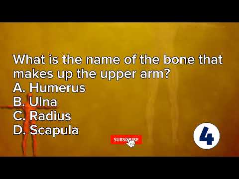 SKELETAL SYSTEM QUIZ