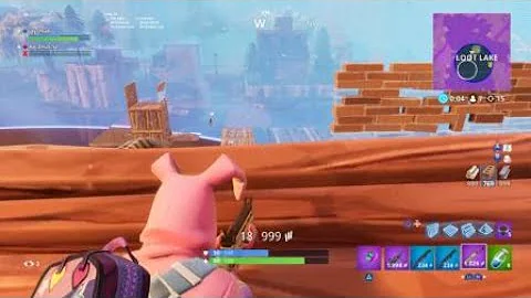 Fortnite: Rabbit Raider Solo Squads