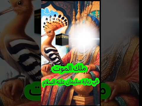 قصة ملك الموت في زيارة سليمان عليه السلام الشيخ محمد الشنقيطي لايك اشتراك قصص وعبرة