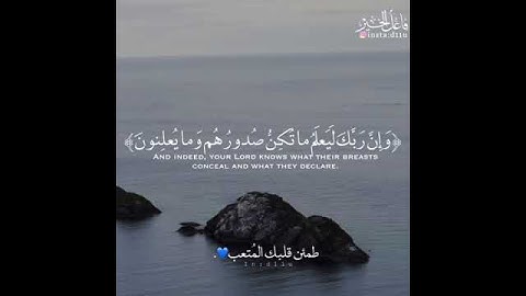 وإن ربك ليعلم ما تكن صدورهم وما يعلنون القارئ/ اسلام صبحي الوصف⤵️⤵️