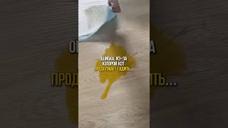 Оригинал: #WW306305 (копируй и вставляй на WB)#поведениекота #коррекцияповедения #советы