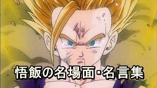 感動 アニメ ドラゴンボール 悟飯の名場面 名言集 Youtube