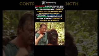 Three Hours Trapped… Without Fighting Back 🦧😳 #History #Borneo #Survival #Nature #Shorts #TrueStory