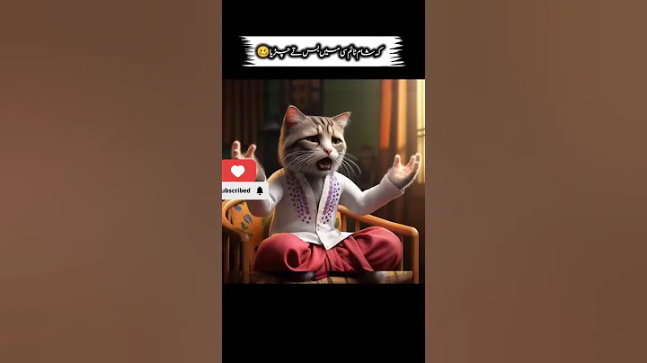 Video 9548181: funny cat talking, pet living, longing, funnycats