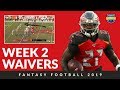 Week 2 Waiver Wire - Improve your fantasy football 2019 squad