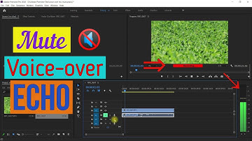 HOW TO REMOVE ECHO DURING VOICE-OVER RECORDING IN ADOBE PREMIERE PRO 2020