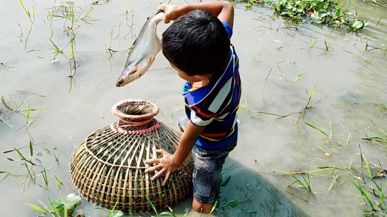 Amazing Big Fish Hunting By Traditional Polo_Fishing With Festival In Village Beel